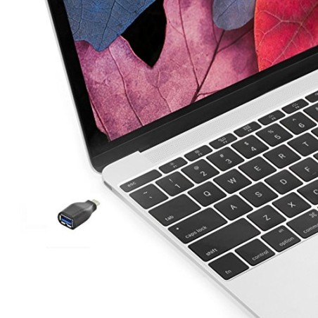 29358-Ewent EW-100518-000-N-P cambiador de genero para cable USB 3.1 Type C USB 3.1 Type A Negro