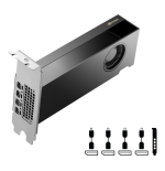 29476-PNY NVIDIA RTX 2000 Ada Generation 16 GB GDDR6