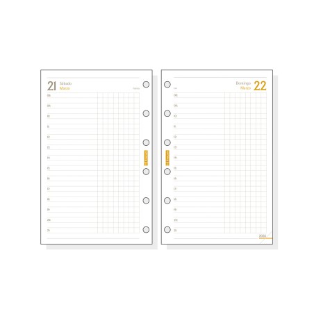 30381-RECAMBIO ANUAL 2026 C298 CLASSIC602 73X114MM DIA PAGINA FINOCAM 201310026