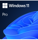 Microsoft Windows 11 Pro 1 licencia(s)