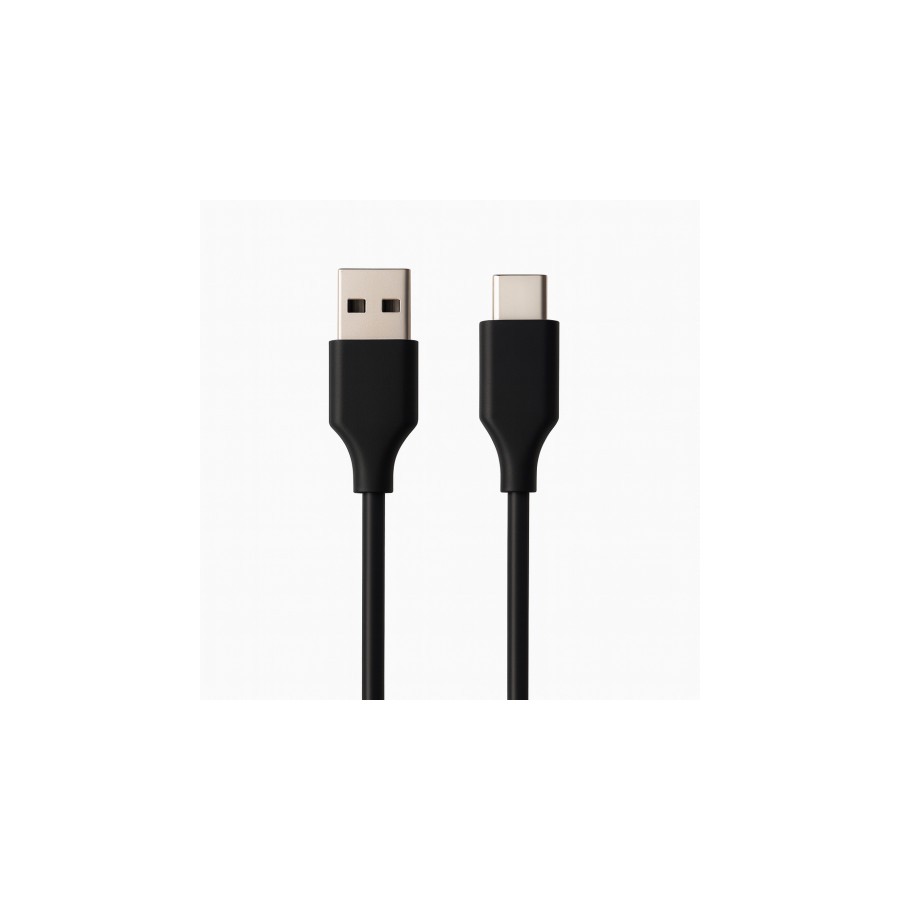31250-Ewent EC1130 cable USB USB 2.0 1 m USB A USB C Negro