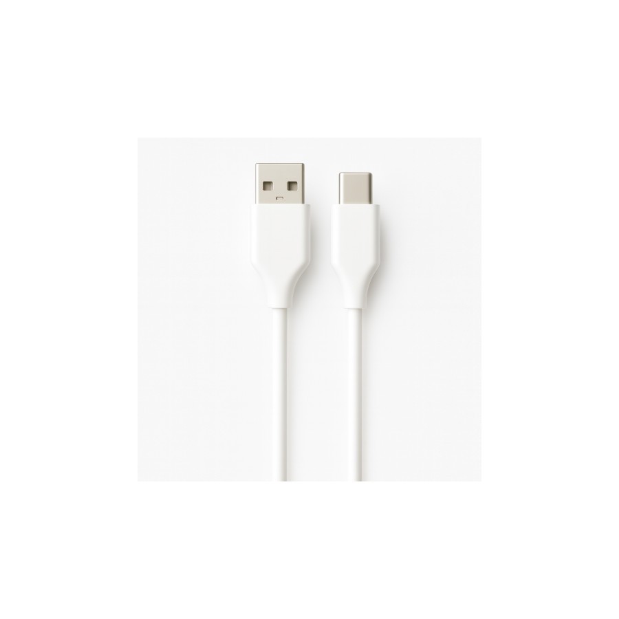 31252-Ewent EC1132 cable USB USB 2.0 1 m USB A USB C Blanco