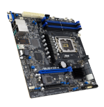 31898-PLACA ASUS SERVER P13R-M