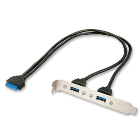 36304-Lindy 33096 cable USB interno