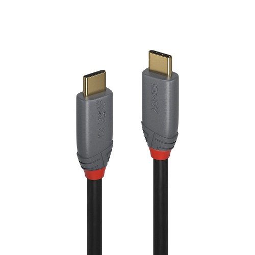 36655-Lindy 36901 cable USB 1 m USB C Negro, Gris