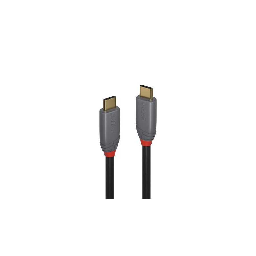 36655-Lindy 36901 cable USB 1 m USB C Negro, Gris