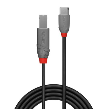 36706-Lindy 36942 cable USB USB 2.0 2 m USB C USB B Negro
