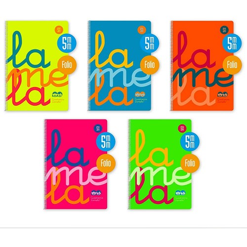 3898-CUADERNO FOLIO PLASTIC RAYADO 5 MM 80 HOJAS 90 GRS COLORES SURTIDOS LAMELA 7FTP005S
