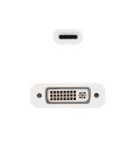 39306-Nanocable CONVERSOR USB-C A DVI-D, 15 CM