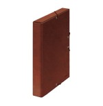 4232-CAJAS DE PROYECTOS CARTON FORRADO LOMO DE 3 CM CUERO 245X350X30 DOHE 09571