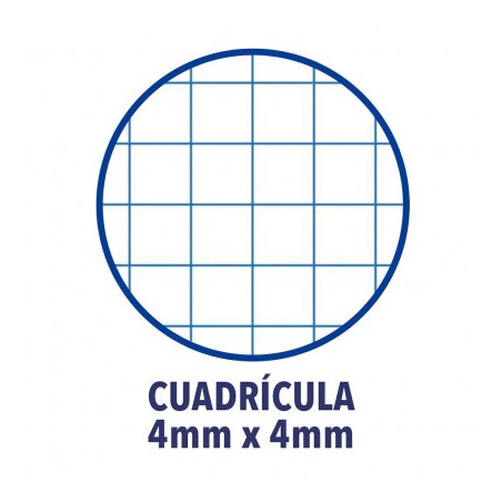 4431-Oxford 400088603 cuaderno y block 80 hojas Colores surtidos