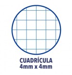 4431-Oxford 400088603 cuaderno y block 80 hojas Colores surtidos