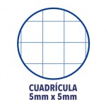 4441-Oxford Europeanbook 1 cuaderno y block A4+ 80 hojas Color menta