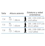 6525-SILLA MASTER HAYA MOBEDUC 500901B184