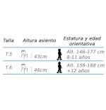 6531-SILLA PLUS HAYA MOBEDUC 500903BZ5