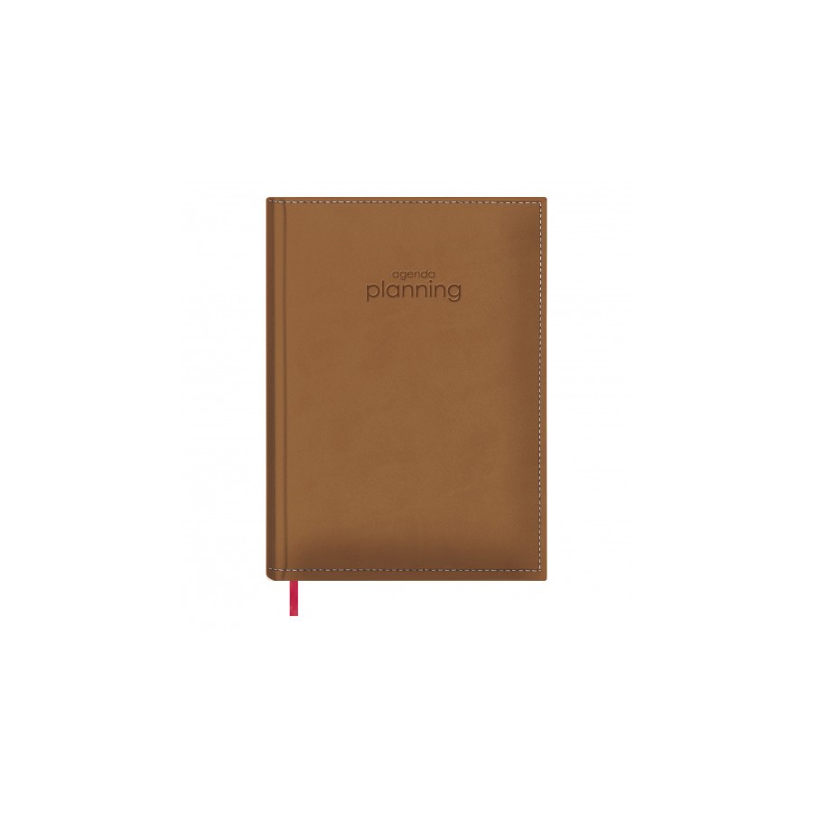 6588-AGENDA PLANNING PERPETUO DIA PAGINA 21 X 29 CM CAMEL DOHE 12133