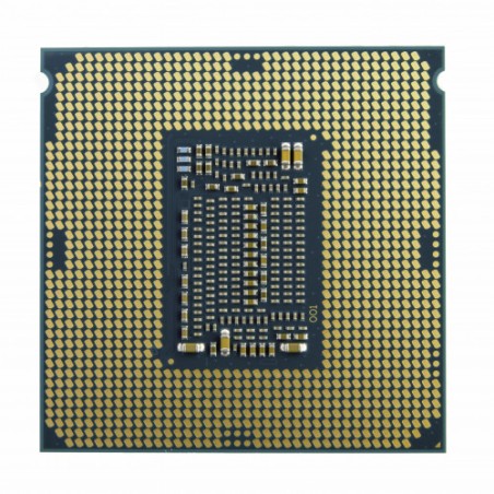 6617-Intel Celeron G5905 procesador 3,5 GHz Caja 4 MB Smart Cache