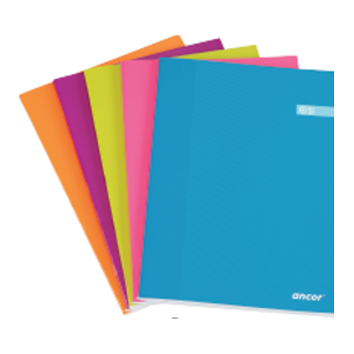 7082-LIBRETA FOLIO CST 48 HOJAS 60G Q4X4 ST ANCOR 061291