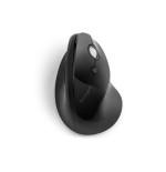 7192-RATON PROFIT INALAMBRICO VERTICAL NEGRO KENSINGTON K75501EU