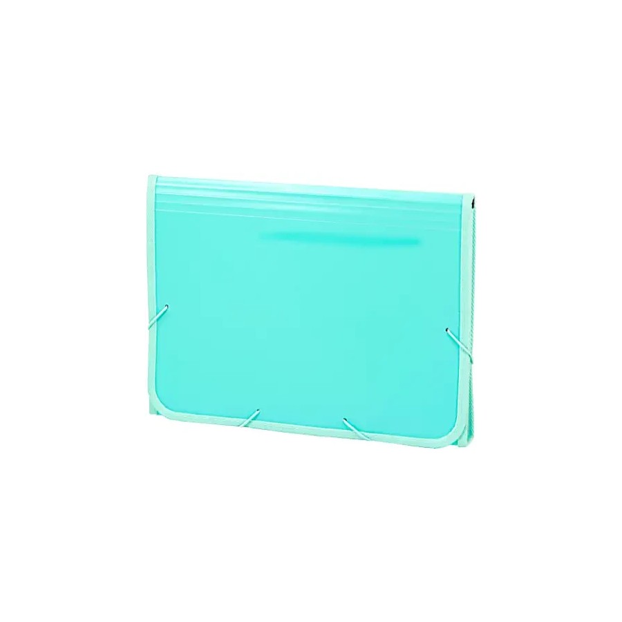 7252-ACORDEON POLIPROPILENO SOFT FOLIO 13 DEPARTAMENTOS RIBETE GOMA MENTA CARCHIVO 19260017