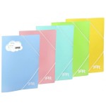 CARPETA SOLAPAS SOFT POLIPROPILENO C/ETIQUETA Y GOMA SALMON CARCHIVO 20160114