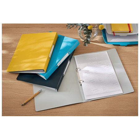 7502-CARPETA 2 ANILLAS ACTIVE COSY AMARILLO LEITZ 42380019