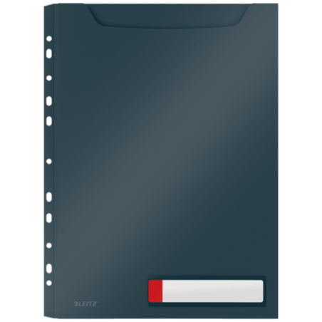 7519-P-3 FUNDA PRIV. COSY GRAN CAPACIDAD GRIS LEITZ 46680089