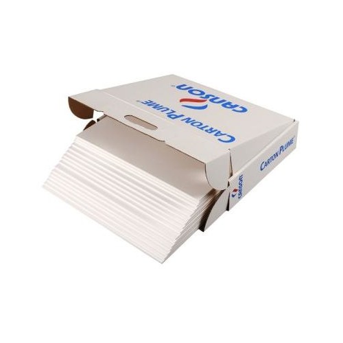 7743-CARTON PLUMA A3 5MM BL CANSON C205154223