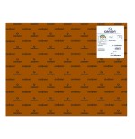 7749-PACK 25 HOJAS CARTULINA IRIS 50X65 185G CHOCOLATE CANSON C200040242