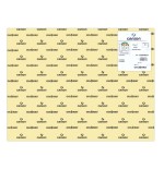 7751-PACK 25 HOJAS CARTULINA IRIS 50X65 185G CREMA CANSON C200040219