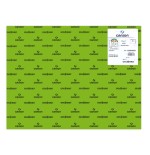 7754-PACK 25 HOJAS CARTULINA IRIS 50X65 185G VERDE BILLAR CANSON C200040238