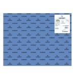 7756-PACK 25 HOJAS CARTULINA IRIS 50X65 185G AZUL MAR CANSON C200040234