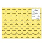 7759-PACK 25 HOJAS CARTULINA IRIS 50X65 185G AMARILLO LIMON CANSON C200040220