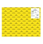 7761-PACK 25 HOJAS CARTULINA IRIS 50X65185G AMARILLO CANARIO CANSON C200040221