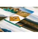 8033-CINTA DYMO EMBOSSER 3M X 9 MM VERDE DYMO 520105