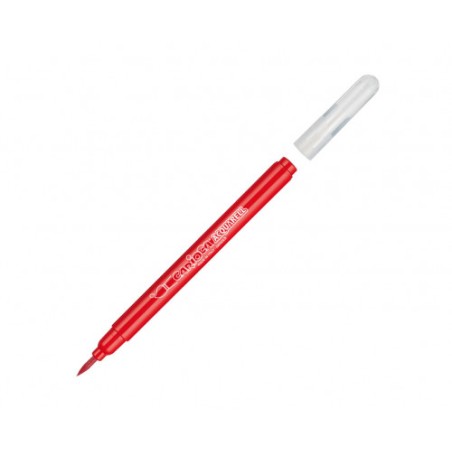 8949-ESTUCHE ROTULADORES ACQUARELL 12 PCS CARIOCA 42747