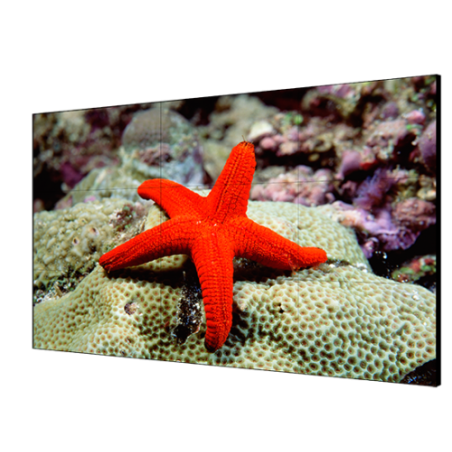 9172-Hikvision Digital Technology DS-D2055HR-G pantalla mural de video LCD Interior