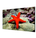 9172-Hikvision Digital Technology DS-D2055HR-G pantalla mural de video LCD Interior