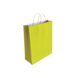 9529-Bismark 329823 bolsa de papel Verde