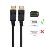 9747-Ewent EC1405 cable DisplayPort 1 m Negro