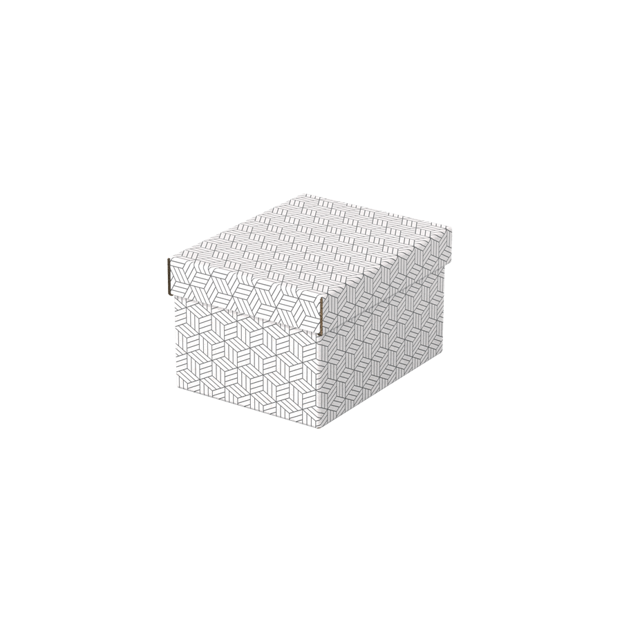 9907-PACK 3 CAJAS BLANCAS 255X200X150MM ESSELTE 628280