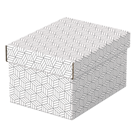 9907-PACK 3 CAJAS BLANCAS 255X200X150MM ESSELTE 628280