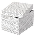 9908-PACK 3 CAJAS BLANCAS 255X200X150MM ESSELTE 628280