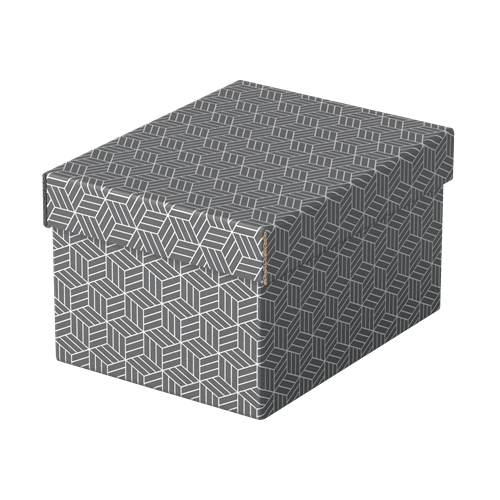 9909-PACK 3 CAJAS GRISES 255X200X150MM ESSELTE 628281