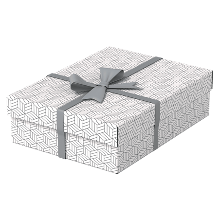 9912-PACK 3 CAJAS BLANCAS 360X265X100MM ESSELTE 628284