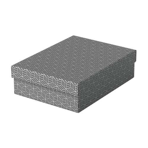 9913-PACK 3 CAJAS GRISES 360X265X100MM ESSELTE 628285